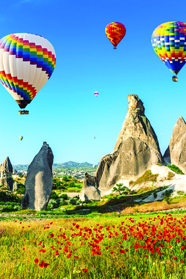 turkey
